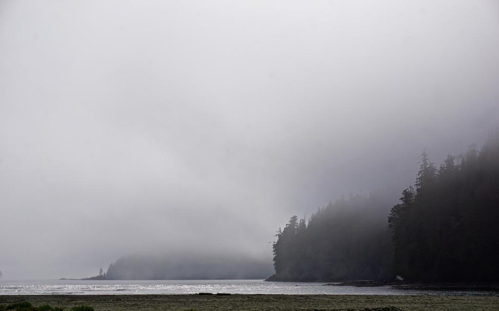 The Bamfield Motel Salmon Beach 外观 照片