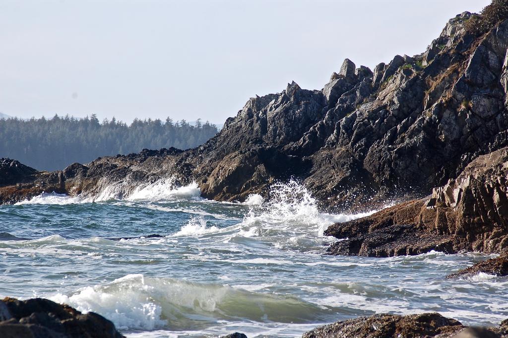 The Bamfield Motel Salmon Beach 外观 照片