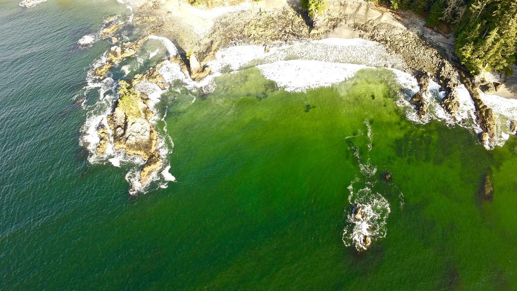 The Bamfield Motel Salmon Beach 外观 照片