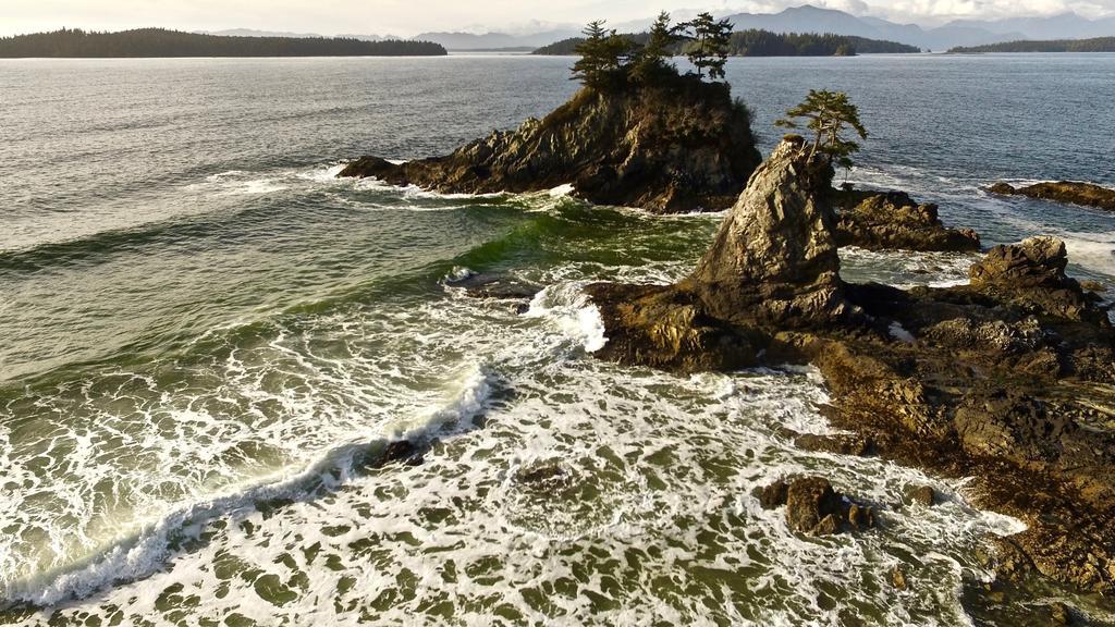 The Bamfield Motel Salmon Beach 外观 照片